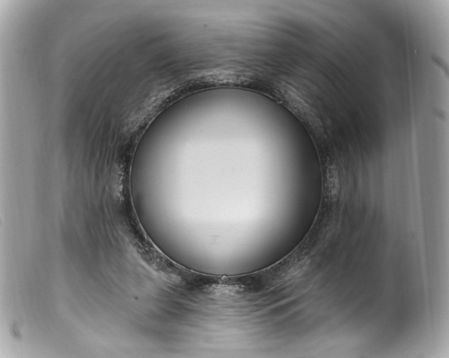 X0000099560255200805301547