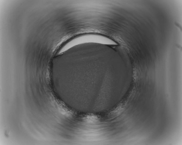 X0000099560256200805301547