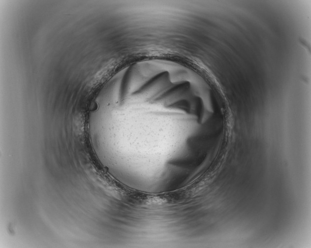 X0000099560257200805301547