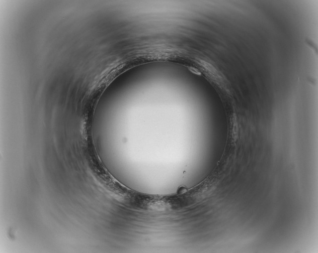 X0000099560258200805301547