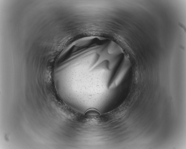 X0000099560259200805301547