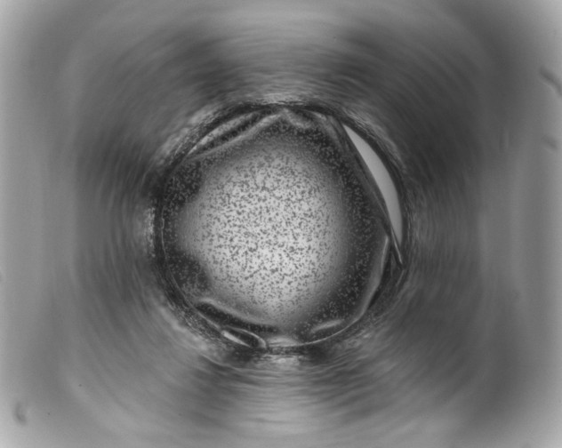 X0000099560260200805301547