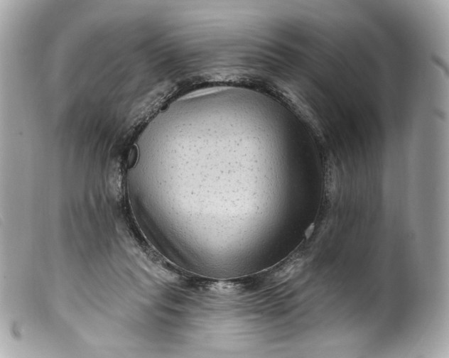 X0000099560261200805301547