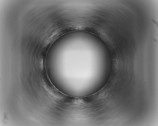 X0000099560262200805301547