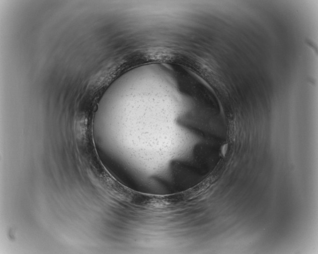 X0000099560263200805301547