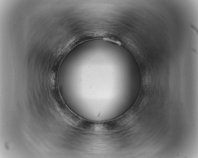 X0000099560264200805301547