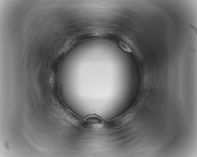 X0000099560265200805301547