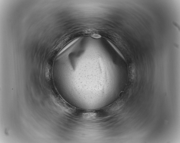 X0000099560266200805301547