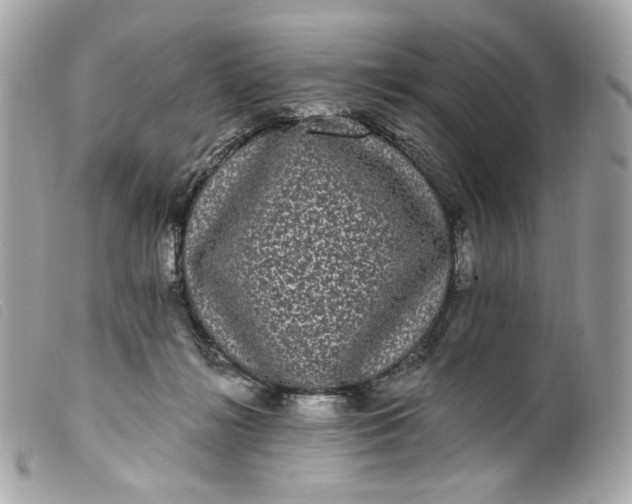 X0000099560268200805301547