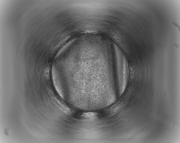 X0000099560269200805301547