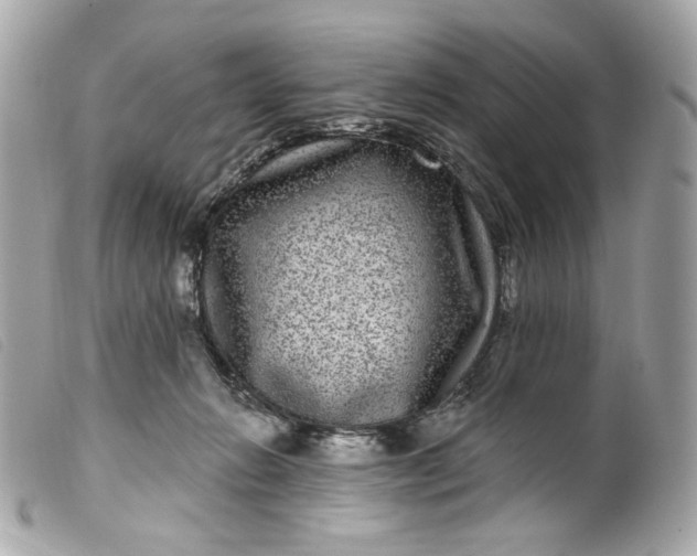 X0000099560270200805301547