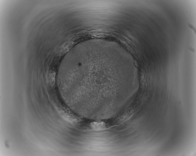 X0000099560271200805301547