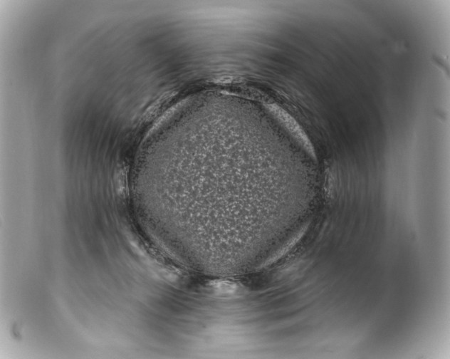 X0000099560272200805301547