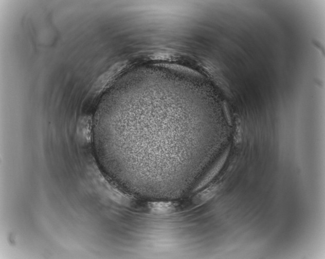 X0000099560273200805301547