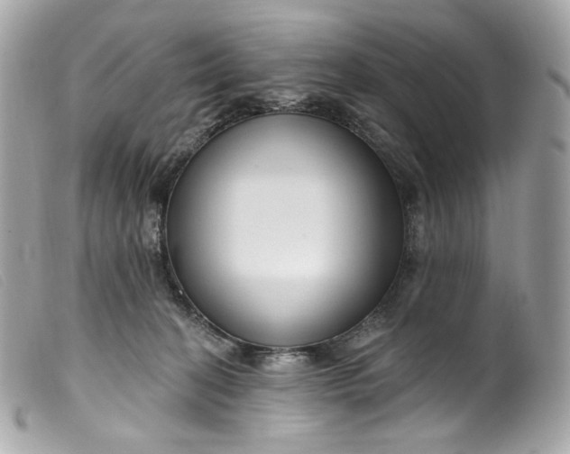 X0000099560274200805301547