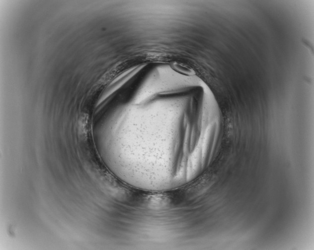 X0000099560275200805301547