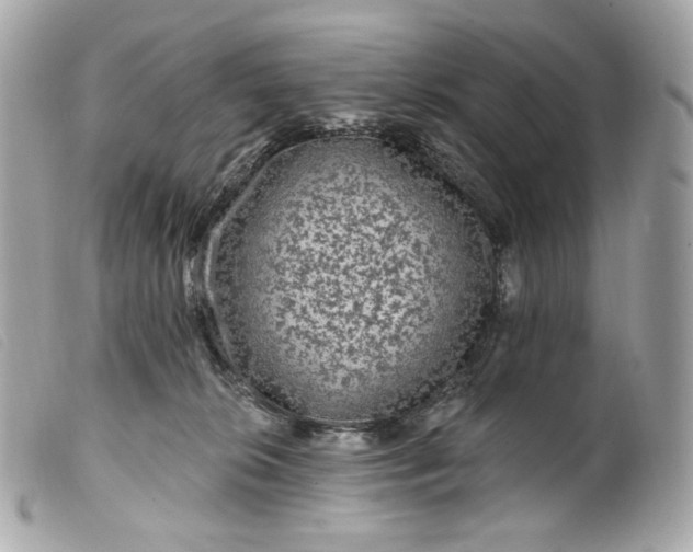 X0000099560276200805301547