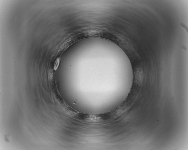 X0000099560278200805301547