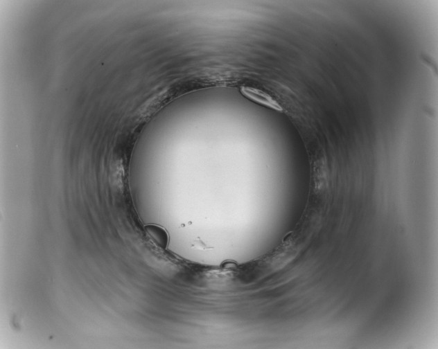 X0000099560279200805301547