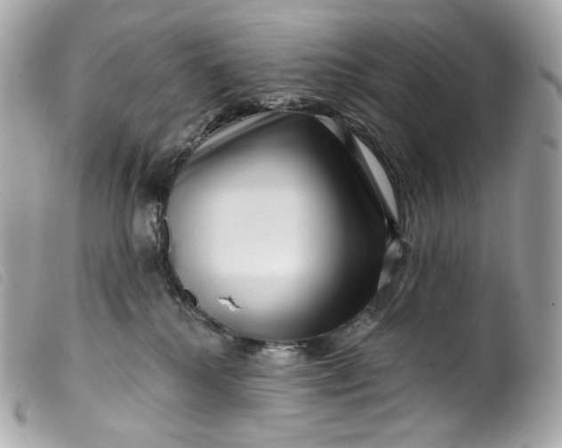 X0000099560280200805301547