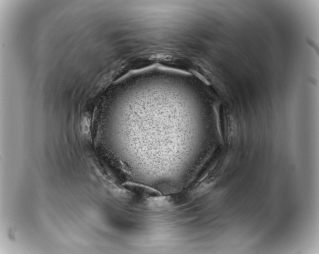 X0000099560281200805301547