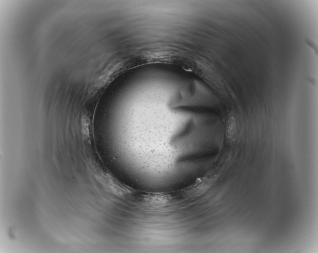 X0000099560282200805301547