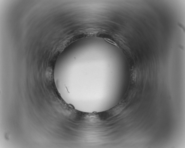 X0000099560283200805301548