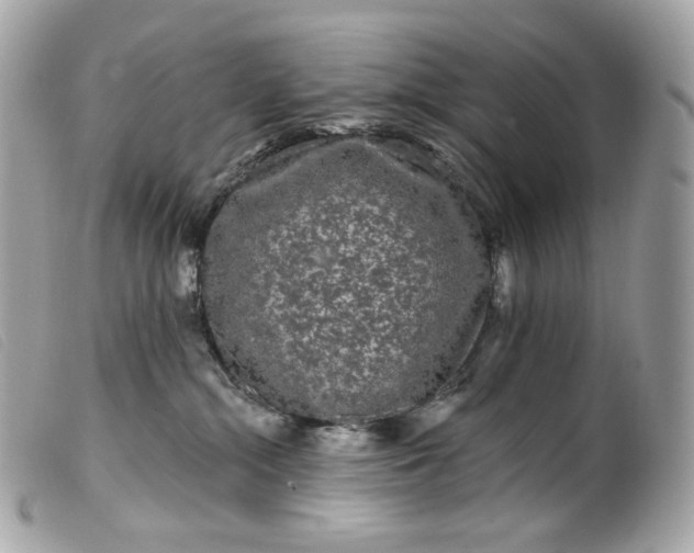 X0000099560284200805301548