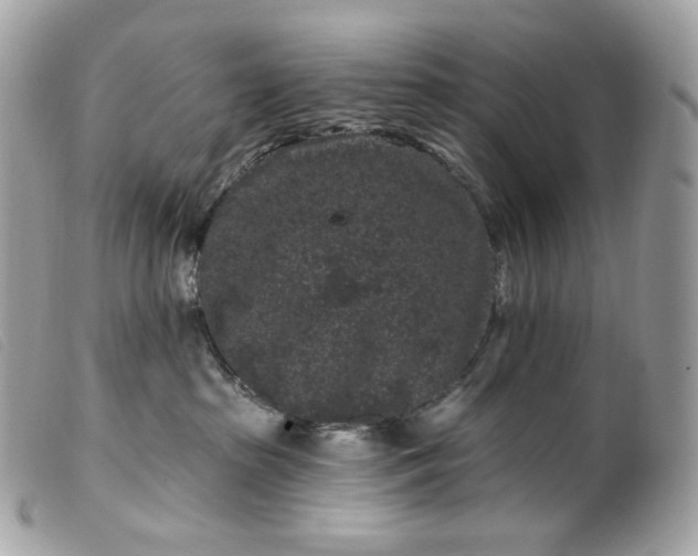 X0000099560285200805301548