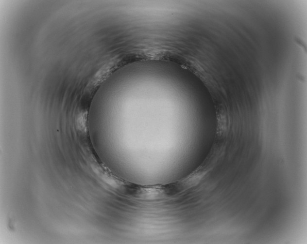 X0000099560286200805301548