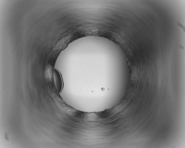 X0000099560287200805301548