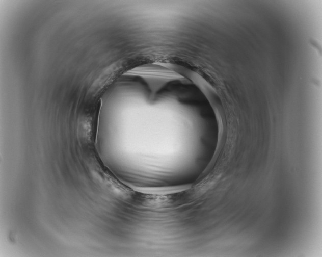 X0000099560288200805301548