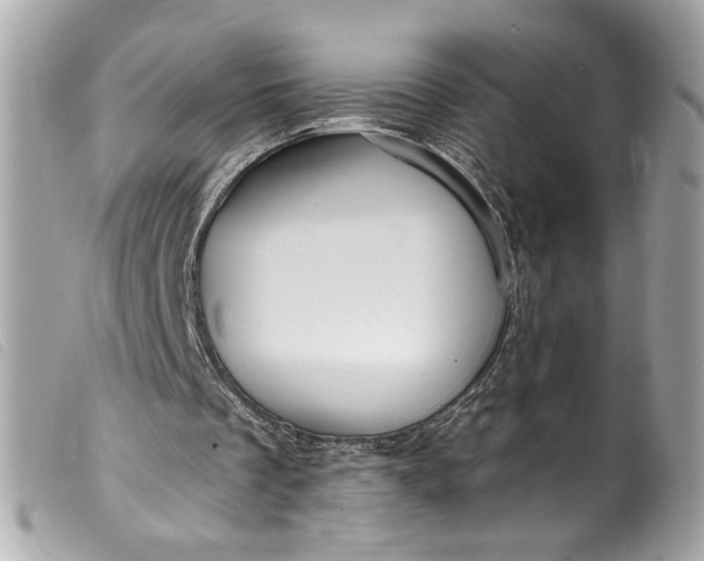 X0000099560289200805301547