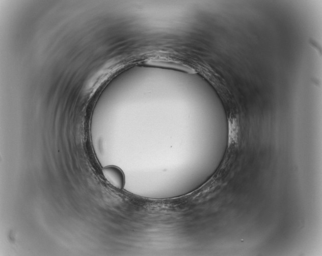 X0000099560291200805301547