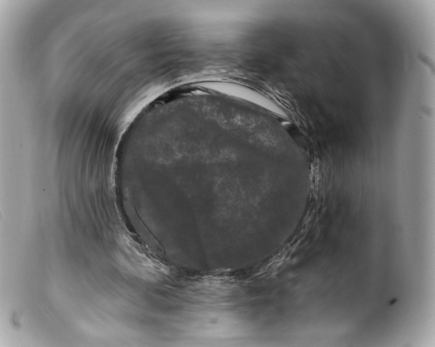 X0000099560292200805301547