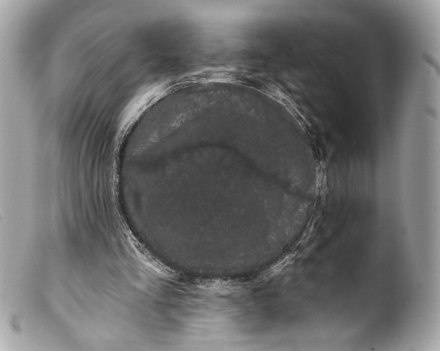 X0000099560293200805301547