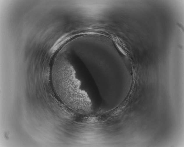 X0000099560295200805301547