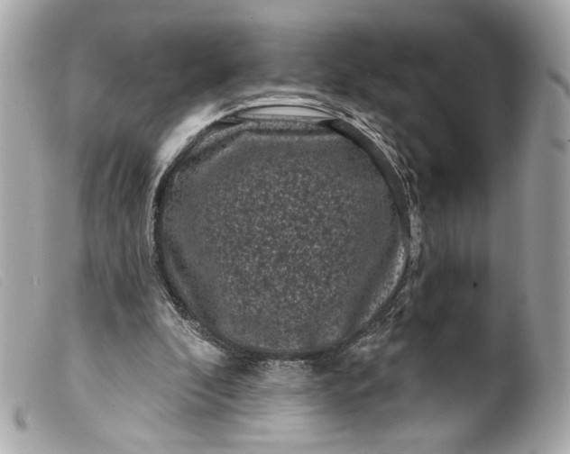 X0000099560296200805301547