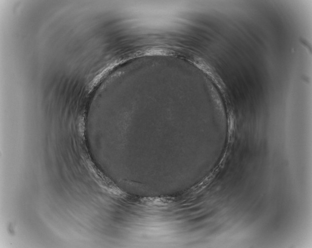 X0000099560297200805301547