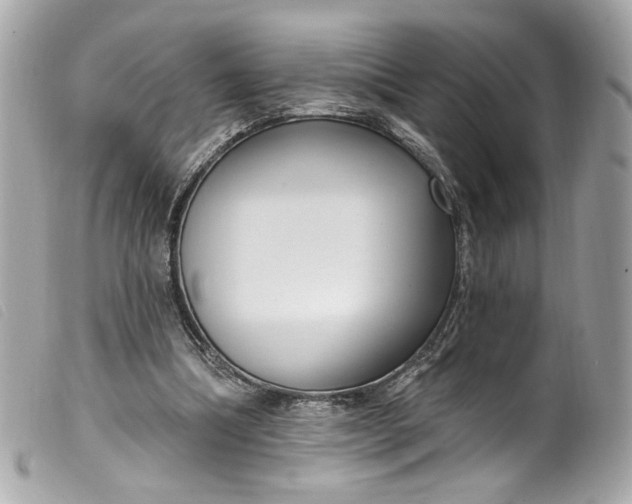 X0000099560298200805301547