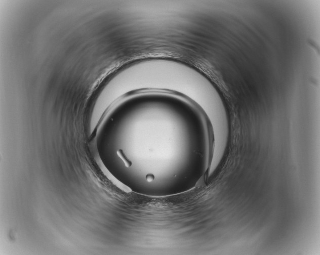 X0000099560300200805301547