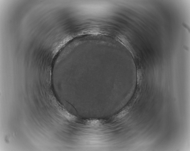 X0000099560301200805301547