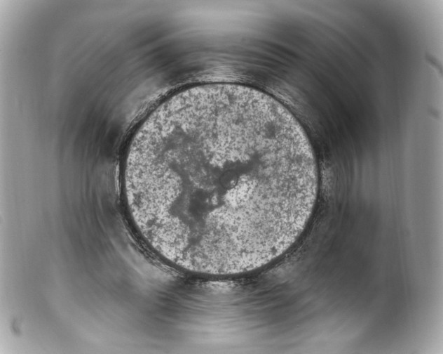 X0000099560302200805301547