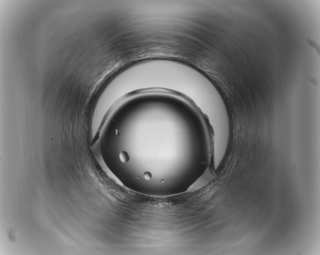 X0000099560304200805301547