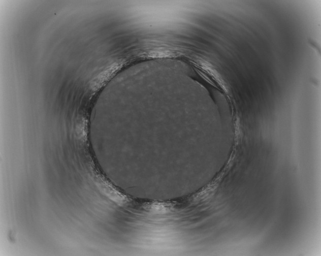 X0000099560305200805301547