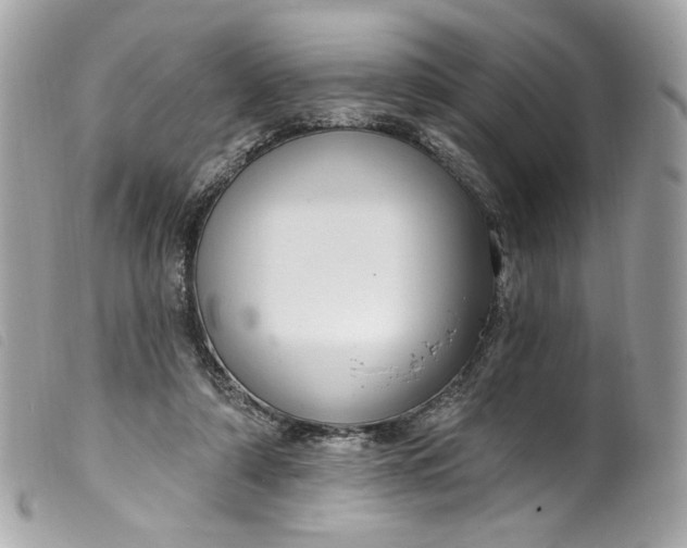 X0000099560306200805301547