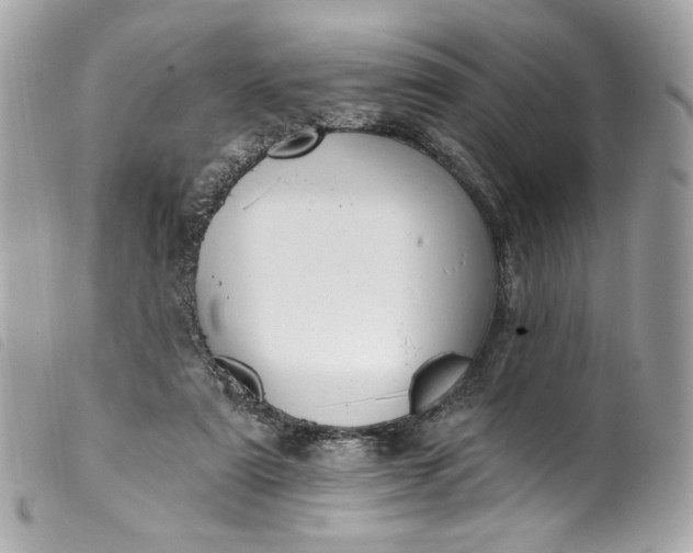 X0000099560307200805301547