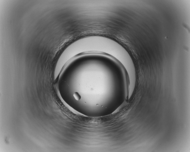 X0000099560308200805301547