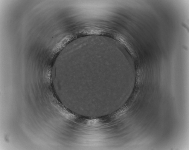 X0000099560309200805301546