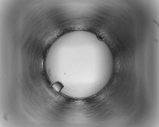 X0000099560310200805301546